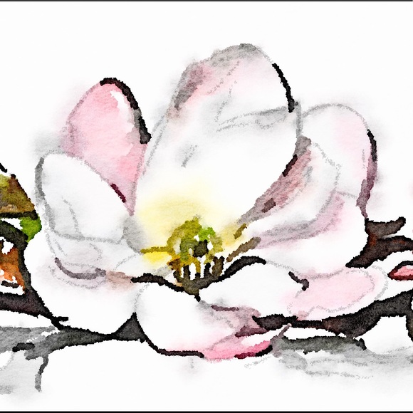 Meet your Posher, Nicole - Picture 1 of 2